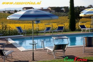 rosa_dei_venti_024